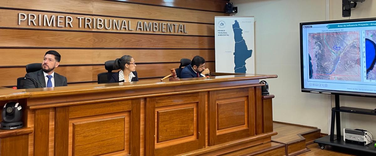 tribunal ambiental