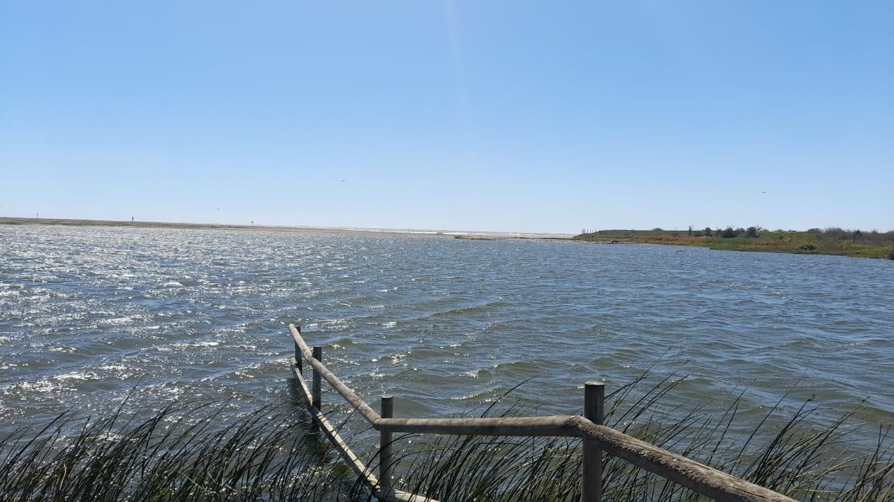 Fotografía del humedal en el Parque Ecológico La Isla, Concón. En la imagen se visualiza el humedal y su vegetación.