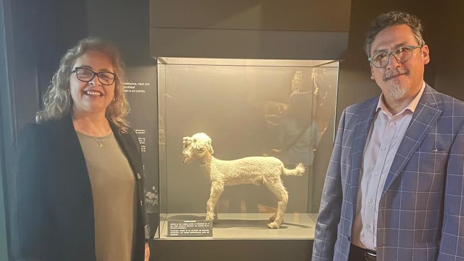  Ivonne Pastene, directora ejecutiva del Museo Fonck, y Sergio Quiroz, director del Museo de Historia Natural de Valparaíso