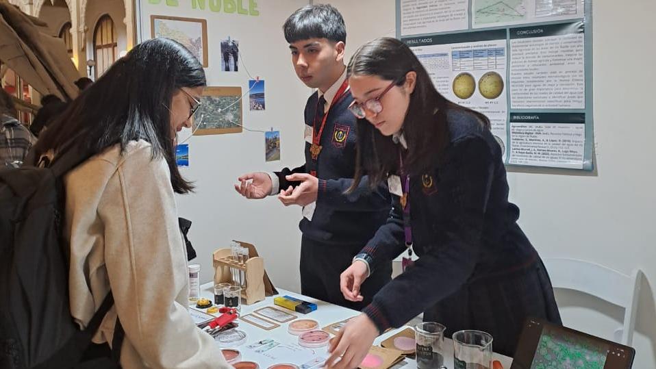 presentqación proyecto escolares científicos