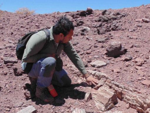 : Omar Vicencio Campos Ingeniero en Medio Ambiente y Recursos Naturales, especialista en Paleontología