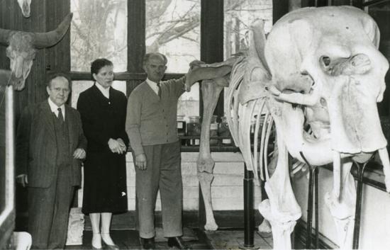 Personajes históricos en la promoción de la revista Anales del Museo de Historia Natural de Valparaíso, en la imágen John Juger junto a Nina Ovalle y José Carpeneto (MHNV 1968)