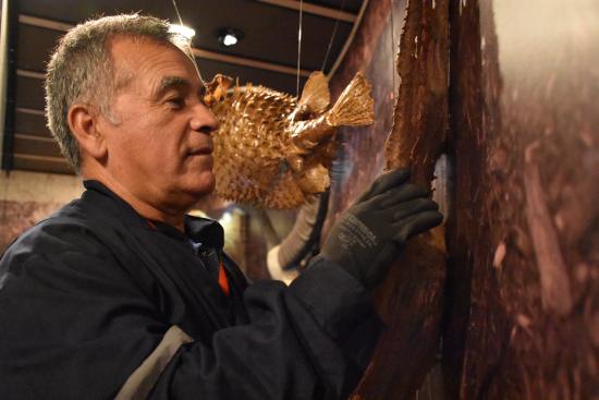 Juan Carlos Belmar, encargado de laboratorio, en el montaje de la exposición "Exótico, Salvaje y en Peligro".