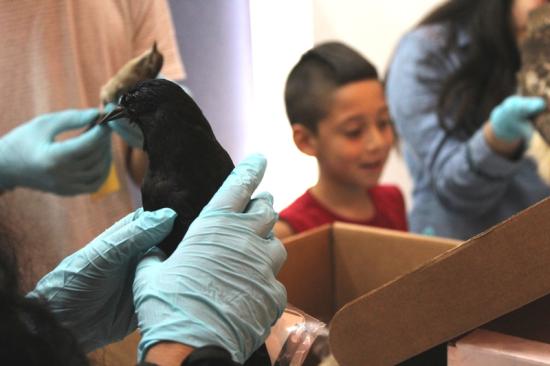 Visita a los depósitos del Área de Ciencia e Investigación del departamento de Biología, del Museo de Historia Natural de Valparaíso.