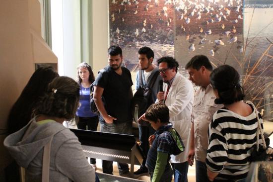 Visita guiada por la sala de exhibición "Río Aconcagua", del Museo de Historia Natural de Valparaíso.