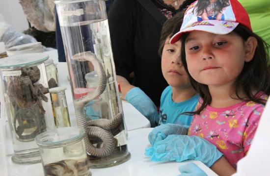 Conociendo colecciones de biología MHNV