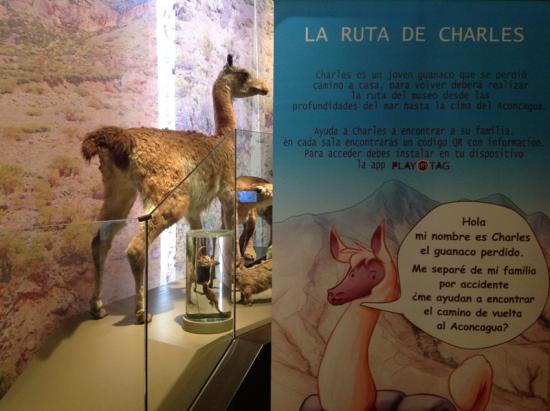 Audio guía en el museo, "La ruta de Charles".