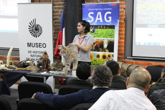 Presentación, abordada por la encargada de colecciones CITES en el MHNV, Camila Figueroa.