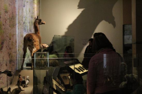 Nuestros visitantes disfrutando la exposición permanente de Sala Aconcagua.