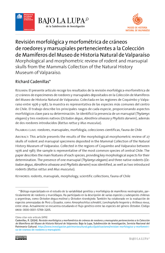 Revisión morfológica y morfométrica de cráneos de roedores y marsupiales pertenecientes a la Colección de Mamíferos del Museo de Historia Natural de Valparaíso Revisión morfológica y morfométrica de cráneos de roedores y marsupiales pertenecientes a la Colección de Mamíferos del Museo de Historia Natural de Valparaíso