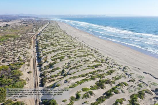 Dunas de Ritoque